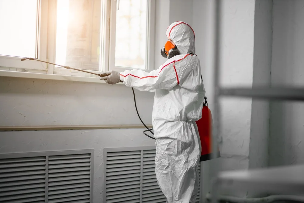 Professional mold remediation services in Grandview, MO